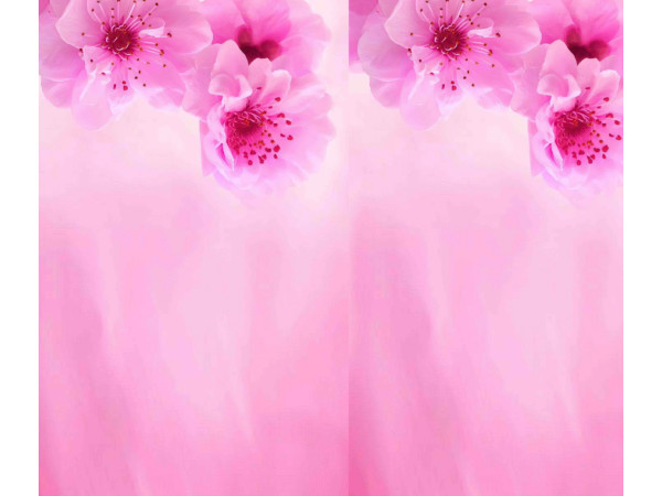 Bombažni jersey,digitalni, abstrakt- velika roža na barbie roza osnovi
