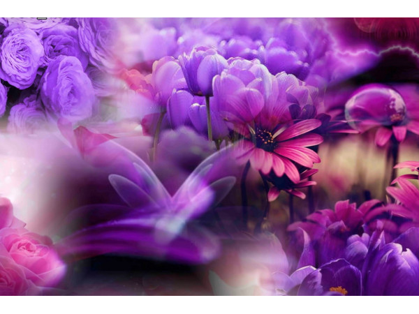 Bombažni jersey,digitalni, abstrakt- velike rože v viola bordo odtenkih