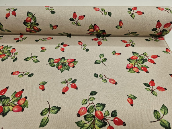 Dekor, lažji -šipek, divja vrtnica, ZADNJI KOS