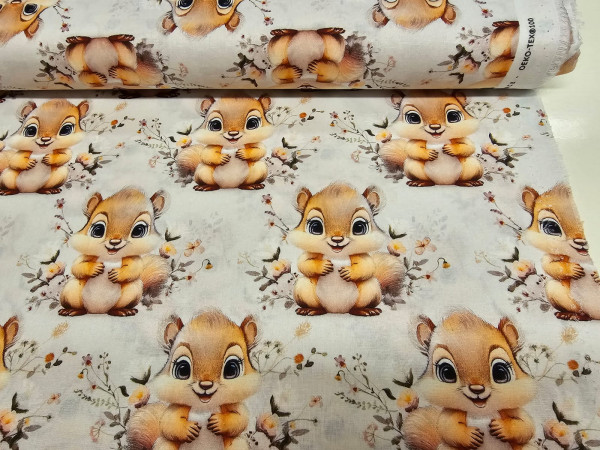 Bombažno platno, poplin- prikupne veverice 