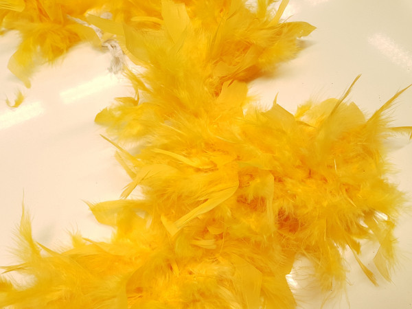 Boa perje v traku-jajčno oranženkasto rumena